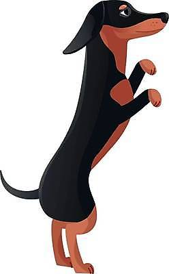 EPS 해외이미지 스튜디오촬영 전신 척추동물 손 응시 백그라운드 일러스트 포유류 유리 놀이 털 서기 사람없음 반려동물 갈색 기댐 가축 흰색 개 작음 모피 자르기 닥스훈트 흰배경 꼬리 사냥 사냥개 슛 송곳니 고립 기르기 동반자 복종 신앙심 특별함 혼자 순혈 해외202309 해외일러스트 동물 시선 컬러 컨셉 모션 재질 실내 신체부위 치아 크기 돌봄 파일형식 벡터