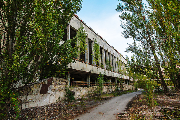 포토 JPG 해외이미지 식물 백그라운드 자연 사람없음 힘 탐험 죽음 도시 오염 역 유령 숲 위험 사건 버리기 부식 지역 타운 종료 원자력 깨짐 방사능 방사선 생태학 소비에트 우크라이나 재앙 파멸 해외202309 해외포토 교육 유럽 컨셉 교통시설 모션 에너지 생태계 파일형식 소멸