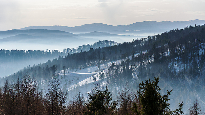 포토 JPG 해외이미지 나무 구름 여행 백그라운드 겨울 자연 아침 날씨 스키 산 풍경 경사 사람없음 빛 햇빛 일출 환경 계곡 어둠 새벽 안개 시골 연기 숲 언덕 내추럴 넘어짐 뿌연 삼림지대 절정 해외202309 해외포토 주간 자연요소 식물 계절 모션 겨울스포츠 태양 노을 생태계 파일형식