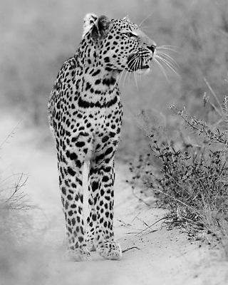 포토 JPG 해외이미지 동물 여행 조류 사람없음 여행객 해외202309 해외포토 사람 파일형식