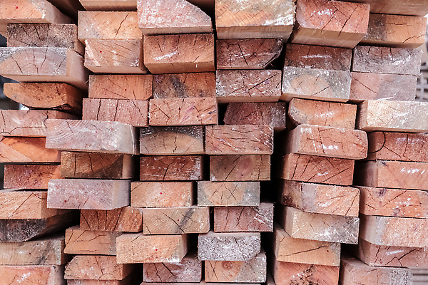 포토 JPG 해외이미지 나무 직업 산업 가구 공장 노동자 기술 창조 사람없음 목재 기계 공구 업무 원형 칼날 작업실 수리 자르기 목수 만들기 날카로움 목공예 잡동사니 DIY 공예가 부스러기 수목 철강 톱밥 톱질 해외202309 해외포토 도형 식물 생활용품 재료 공업 모션 취미 도구 작업 가루 공예 파일형식