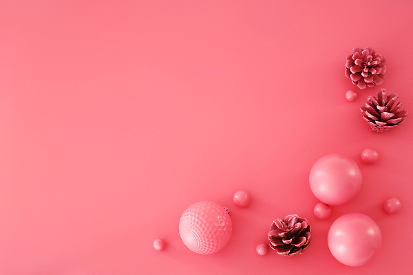 포토 JPG 해외이미지 템플릿 편집 디자인 분홍색 백그라운드 컨셉 크리스마스 겨울 탁자 휴가 새해 프레임 사람없음 장식 유행 우주 축제 축하 신용카드 레이아웃 솔방울 원뿔 항공촬영 구성 무료 목업 플랫레이 카피스페이스 국경 해외202309 해외포토 도형 계절 기념일 뷰포인트 컬러 가구 금융 공백 플랫 파일형식