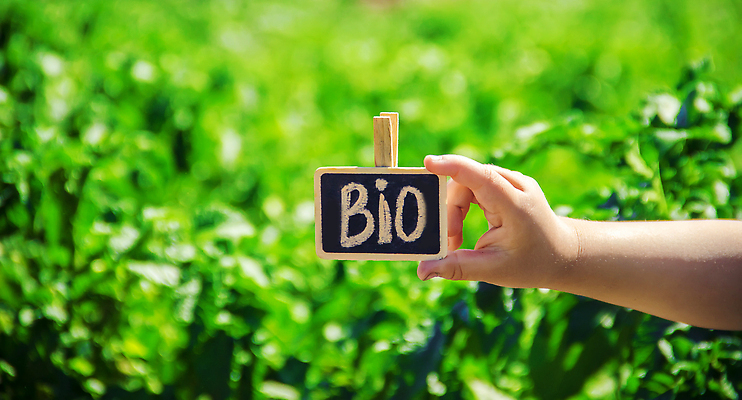 포토 JPG 해외이미지 접시 배너 행복 어린이 음식 백그라운드 밭 농업 다이어트 채소 자연 양파 주택 감자 건강 마늘 관리 사랑 한명 초록색 여름 뷰티 농장 수확 시골 아기 맛 시원함 먹기 에코 유기농 시골집 이익 바이오 많음 카피스페이스 해외202309 해외포토 1 식기 웰빙 계절 감정 산업 컬러 컨셉 모션 사람 건물 환경 공백 생태계 파일형식