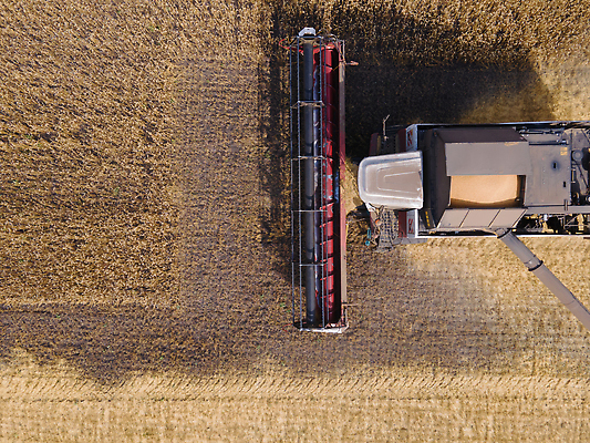 포토 JPG 해외이미지 직업 지구 밭 농업 옥수수 씨앗 사람없음 농장 농경지 농사 기계 목장 모임 수확 성장 칼날 재산 황금 제조 농부 혼합 결합 낟알 땅 시리얼 밀 알맹이 트랙터 로딩 밭일 조감도 공급 세련 귀리 해외202309 해외포토 식물 산업 음식 곡류 금융 농기계 특수차량 파일형식