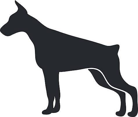 EPS 해외이미지 클립아트 모양 동물 실루엣 새끼 포즈 백그라운드 신체 일러스트 장난 포유류 엄마 뼈 그림자 미술 서기 앉기 그래픽 반려동물 세트 점프 검은색 고양이 우유 개 리트리버 강아지 아침식사 테리어 래브라도리트리버 수집 사인 그림 꼬리 사냥 윤곽 불독 고립 벡터 해외202309 해외일러스트 컬러 가족 모션 문화예술 유제품 촬영기법 식사 파일형식 관계