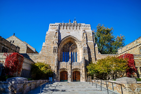포토 JPG 해외이미지 나무 공원 여행 건축양식 졸업 벽돌 잉글랜드 새로움 사람없음 야외 초록색 미국 수확 도시 도심 대학교 복고 아이비 일반 랜드마크 옛날 해외202309 해외포토 식물 공공시설 교육 건축 컬러 컨셉 북아메리카 농업 학교 영국 파일형식