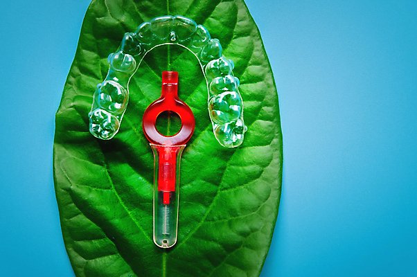 포토 JPG 해외이미지 잎 사람없음 청결 투명 파란배경 교정기 위생관리 치간칫솔 치아교정 해외202309 해외포토 식물 백그라운드 관리 파란색 위생 칫솔 교정 파일형식