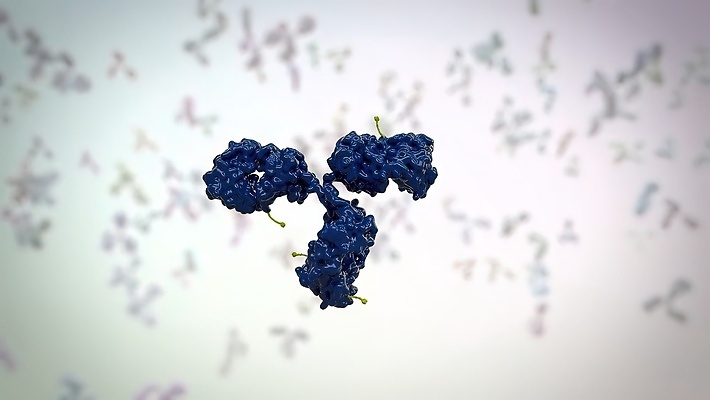 포토 JPG 해외이미지 과학 신체 해부 미래 건강 병원 현미경 사람없음 컴퓨터 약 3D 스크린 모니터 시험 실험실 바이러스 어플리케이션 질병 DNA 사이버 분석 미생물 염색체 암 외과 박테리아 단백질 소프트웨어 스캔 인터페이스 종양 프로그램 홀로그램 더스트파티클 해외202309 해외포토 교육 컨셉 의학 생물 실험기구 실험 전자제품 생명공학 디지털합성 영양소 파일형식