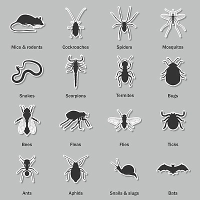 EPS 해외이미지 모양 동물 디자인 실루엣 곤충 백그라운드 일러스트 생물 경고 그래픽 세트 검은색 흰색 원형 뱀 플랫 해충 벌레 위험 벌 전갈 딱정벌레 심볼 사인 달팽이 생물학 거미 박쥐 개미 고립 모기 엘리먼트 제어 벡터 해외202309 해외일러스트 도형 교육 컬러 컨셉 절지류 포유류 파충류 연체동물 촬영기법 파일형식