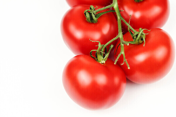 포토 JPG 해외이미지 식물 접시 음식 줄기 컬러 백그라운드 농업 토마토 채소 과일 재료 자연 건강 요리 사람없음 빨간색 초록색 물 빛 주방 샐러드 성장 물방울 나뭇가지 신선 그룹 시장 다발 오브젝트 상쾌 유기농 날것 건강식 내추럴 숙성 채식주의자 해외202309 해외포토 자연요소 나무 식기 웰빙 감정 산업 생태계 채식 파일형식