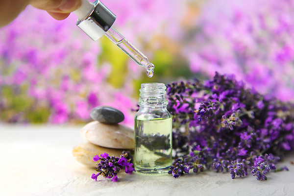 포토 JPG 해외이미지 손 꽃 유리병 들기 신체부위 보라색 돌_바위 스포이트 라벤더 공병 라벤더오일 해외202309 해외포토 식물 컬러 모션 병_용기 사람 오일_화장품 허브 피펫 병_담는 파일형식