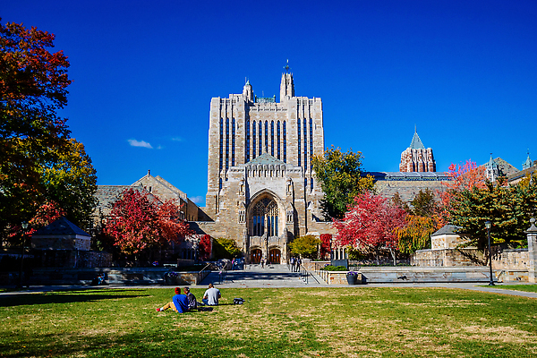 포토 JPG 해외이미지 나무 공원 여행 건축양식 졸업 벽돌 잉글랜드 새로움 사람없음 야외 초록색 미국 수확 가을 도시 도심 대학교 복고 아이비 일반 랜드마크 옛날 해외202309 해외포토 식물 계절 공공시설 교육 건축 컬러 컨셉 북아메리카 농업 학교 영국 파일형식