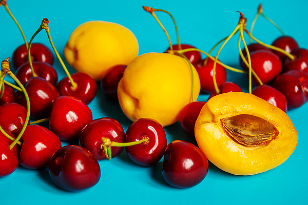 포토 JPG 해외이미지 식물 계절 꽃 지구 음식 백그라운드 잎 밭 농업 채소 재료 자연 오이 새로움 건강 사람없음 초록색 농작물 농장 환경 정원 흙 봄 성장 벚꽃 나뭇가지 신선 닫기 냄비 작음 허브 유기농 원예 날것 먼지 내추럴 땅바닥 모종 묘목 온실 채식주의자 세련 해외202309 해외포토 나무 웰빙 산업 컬러 컨셉 모션 바닥 취미 솥 크기 생태계 채식 파일형식