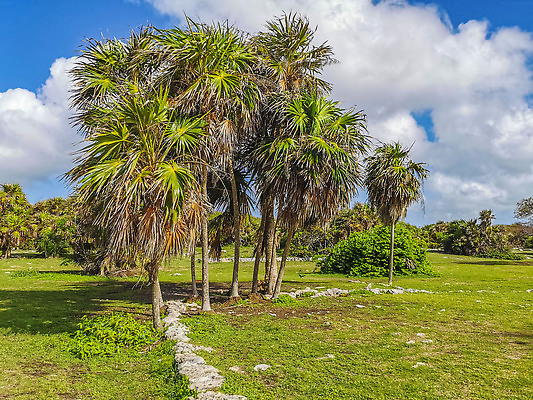 포토 JPG 해외이미지 문화 바다 여행 건축양식 하늘 휴가 멕시코 손바닥 사람 풍경 사람없음 초록색 물 파란색 미국 바위 도시 사찰 역사 땅 폐허 피라미드 유카탄 마야 천연기념물 고고학 랜드마크 옛날 터키석 파라다이스 파멸 해외202309 해외포토 자연요소 건축물 손 교육 건축 컬러 컨셉 북아메리카 종교건축 돌_바위 보석 마야문명 파일형식 소멸