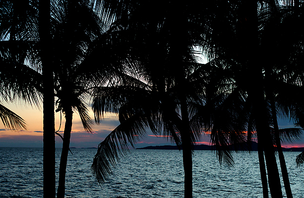포토 JPG 해외이미지 나무 식물 구름 실루엣 아시아 바다 분홍색 컬러 섬 여행 백그라운드 잎 태국 자연 하늘 휴가 손바닥 풍경 사람없음 야외 빨간색 물 여름 컬러풀 야자수 태양 뷰티 일출 일몰 야간 저녁 휴양지 코코넛 석호 이국적 파라다이스 수평선 해외202309 해외포토 자연요소 손 계절 나라 과일 촬영기법 노을 장소 생태계 파일형식