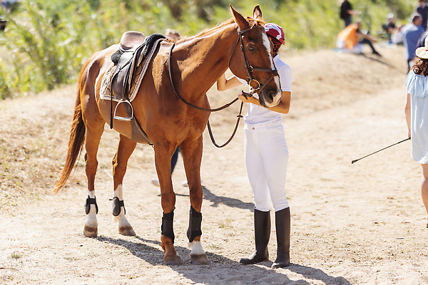 포토 JPG 해외이미지 동물 직업 여자 스포츠 포즈 유니폼 포유류 자연 취미 사람없음 야외 농장 강사 축제 경쟁 경기장 시골 승마 승차 헬멧 강의 연습 라이더 해외202309 해외포토 옷 컨셉 농업 스포츠시설 모션 사람 보호장비 생태계 파일형식