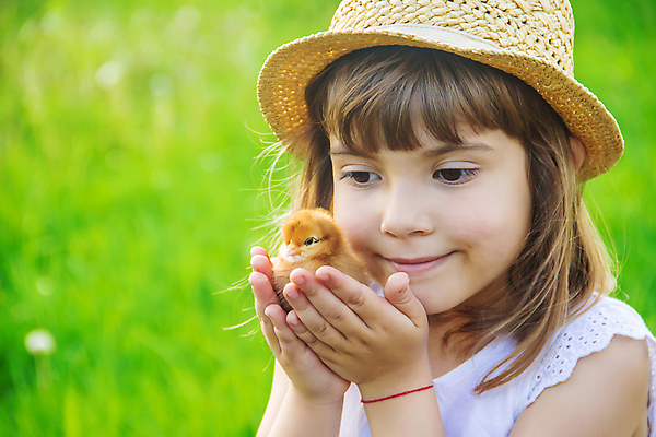 포토 JPG 해외이미지 한마리 여자 어린이 병아리 한명 들기 상반신 야외 밀짚모자 소녀한명만 해외202309 해외포토 모자_잡화 1 모션 조류 사람 여자한명만 소녀만 파일형식