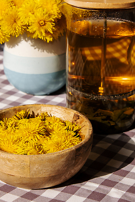 포토 JPG 해외이미지 사람없음 노란색 식탁보 찻잔 민들레 컵받침 체크무늬 꽃차 해외202309 해외포토 꽃 컬러 무늬 잔 차_음료 받침대 파일형식