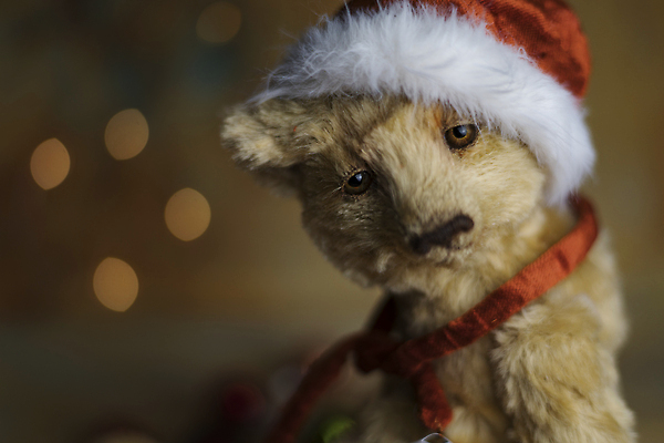 포토 JPG 해외이미지 동물 기념일 얼굴 크리스마스 산타모자 곰 가족 포옹 새로움 새해 크리스마스카드 기념 선물 앉기 사람없음 장식 빨간색 장난감 뷰티 산타클로스 갈색 곰인형 방 축하 인사 신용카드 12월 모피 솜털 폭식 캡모자 크리스마스이브 클라우스 크리스마스배경 해외202309 해외포토 모자_잡화 인형 컬러 백그라운드 컨셉 포유류 관계 안기 모션 카드_감사 이벤트 신체부위 금융 예절 날짜 파일형식