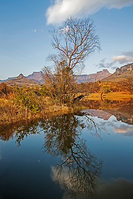포토 JPG 해외이미지 나무 호수 여행 아프리카 자연 산 사람없음 야외 초록색 물 반사 평화 환경 침묵 고요 절벽 하이킹 시골 황무지 고독 그림 멀리 원형경기장 남아프리카 울퉁불퉁 웅장함 절정 해외202309 해외포토 자연요소 식물 감정 나라 컬러 컨셉 스포츠시설 레저 소리 경기장 생태계 파일형식