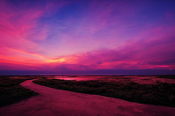 포토 JPG 해외이미지 컬러 백그라운드 오렌지 자연 하늘 사람없음 파란색 빛 햇빛 태양 뷰티 일출 일몰 저녁 장면 웅장함 해외202309 해외포토 자연요소 과일 노을 야간 생태계 파일형식