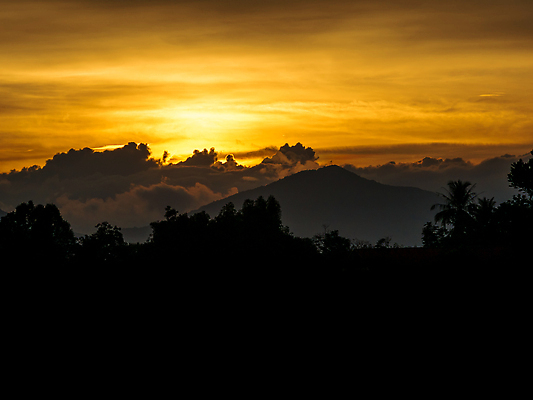 포토 JPG 해외이미지 나무 계절 실루엣 컬러 여행 백그라운드 오렌지 자연 하늘 산 사람없음 야외 빨간색 빛 컬러풀 햇빛 태양 뷰티 노란색 일출 환경 검은색 황혼 일몰 새벽 저녁 내추럴 해외202309 해외포토 자연요소 식물 과일 촬영기법 노을 야간 생태계 파일형식