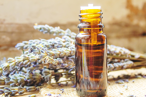 포토 JPG 해외이미지 사람없음 오일 아로마테라피 라벤더 내추럴 에센스 오일병 해외202309 해외포토 꽃 음식 화장품 허브 테라피 파일형식