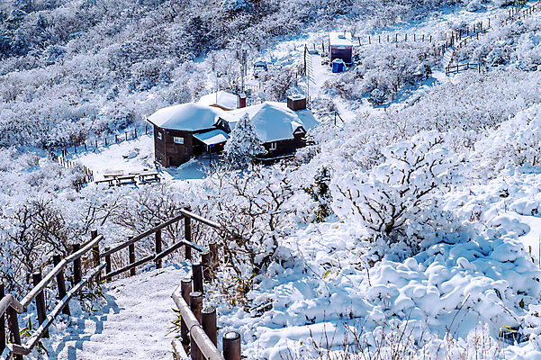 포토 JPG 해외이미지 나무 백그라운드 겨울 자연 하늘 산 서울 한국 풍경 사람없음 태양 맑음 추위 사찰 언덕 눈내림 해외202004 해외포토 자연요소 식물 계절 아시아 종교건축 날씨 눈_날씨 생태계 파일형식