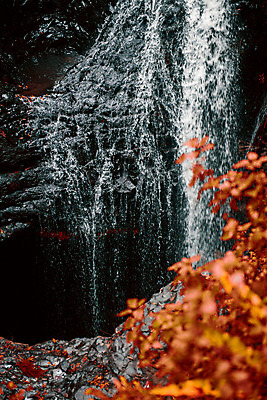 포토 JPG 해외이미지 공원 여행 잎 자연 풍경 사람없음 야외 빨간색 물 강 환경 침묵 폭포 젖음 바위 신선 개울 재산 호주 떨어짐 숲 열대우림 내추럴 생태학 전국 해외202004 해외포토 자연요소 식물 공공시설 교육 컬러 컨셉 금융 소리 돌_바위 오세아니아 생태계 파일형식