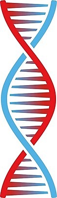 EPS 해외이미지 디자인 실루엣 과학 백그라운드 컨셉 곡선 신체 일러스트 자연 추상 나선형 건강 사람 그래픽 빨간색 파란색 약 웹 원형 진화 암호 DNA 생명공학 심볼 오브젝트 사인 그림 생물학 심플 염색체 복제 엘리먼트 유전 스타일 벡터 해외202309 해외일러스트 도형 교육 선 컬러 무늬 인터넷 의학 촬영기법 소방 생태계 파일형식