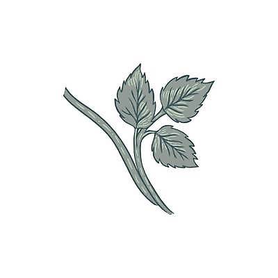 EPS 해외이미지 식물 디자인 꽃 종이 백그라운드 잎 꽃무늬 패턴 일러스트 자연 벽지 영국 잉글랜드 미술 그래픽 장식 정원 봄 낭만 수확 골동품 직물 화려 중세 클래식 큼 타일 그림 질감 복고 빅토리아 옛날 포장소품 회복 스타일 벡터 해외202309 해외일러스트 계절 유럽 컨셉 무늬 농업 포장 문화예술 역사 크기 오브젝트 생태계 포장재료 파일형식