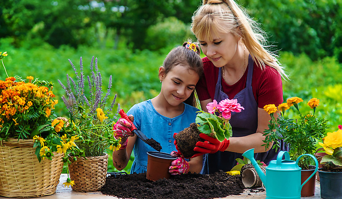 포토 JPG 해외이미지 여자 꽃 화분 어린이 장갑 상반신 성인 두명 앞모습 바구니 정원 앞치마 흙 물뿌리개 성장 삽 원예 넣기 여자만 해외202309 해외포토 식물 잡화 뷰포인트 모션 사람 취미 파일형식