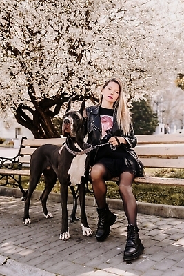 포토 JPG 해외이미지 전신 한마리 공원 여자 반려견 벤치 꽃나무 한명 앉기 성인 야외 앞모습 산책 잡기 대형견 목줄 성인여자한명만 그레이트덴 해외202309 해외포토 나무 1 공공시설 꽃 뷰포인트 의자 모션 휴식 사람 반려동물 개 여자한명만 성인여자만 파일형식 반려용품