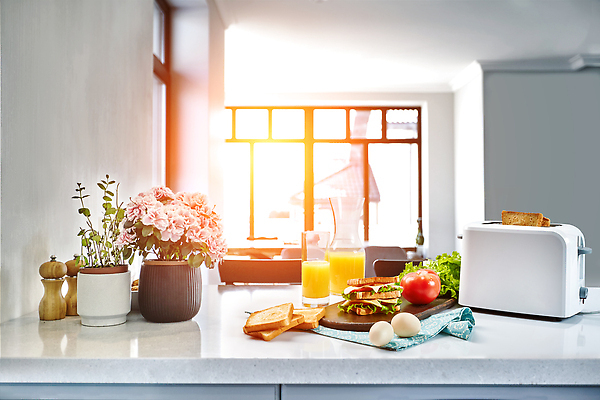 포토 JPG 해외이미지 채소 과일 식재료 창문 샌드위치 사람없음 햇빛 계란 꽃병 아침식사 오렌지주스 식빵 토스트 토스트기 해외202309 해외포토 꽃 음식 빵 태양 알 식사 가전제품 과일주스 파일형식