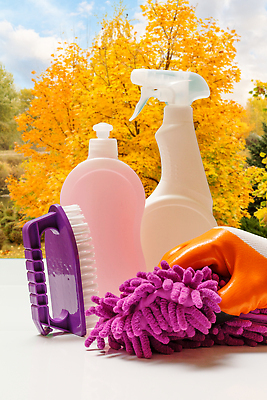 포토 JPG 해외이미지 나무 손 신체부위 깨끗함 잡기 솔 청소도구 청소 세제 오브젝트 걸레 해외202309 해외포토 식물 컨셉 모션 사람 도구 파일형식