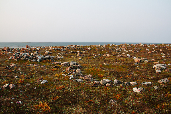 포토 JPG 해외이미지 전통 문화 캐나다 자연 텐트 사람 사람없음 평화 환경 침묵 캠핑 반지 황무지 고독 땅 북극 장면 철새 내추럴 고고학 고립 취급주의 해외202309 해외포토 교육 감정 컨셉 북아메리카 장신구 조류 레저 캠핑도구 경고 소리 극지방 생태계 파일형식