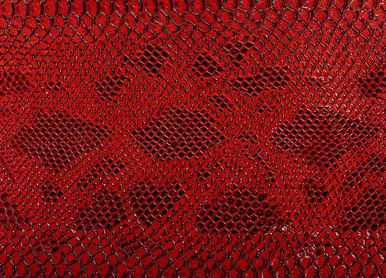 포토 JPG 해외이미지 동물 디자인 옷 야생동물 컬러 백그라운드 패턴 파충류 자연 벽지 표면 추상 미술 사람없음 빨간색 물 갈색 유행 검은색 직물 거친 뱀 고급 인쇄 가죽 피부 묘사 질감 눈금 도마뱀 육식동물 악어 숨김 내추럴 이국적 인공 스타일 해외202309 해외포토 자연요소 컨셉 무늬 문화예술 신체부위 생태계 파일형식