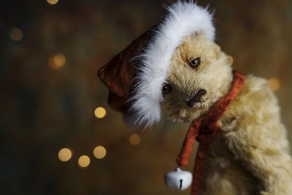 포토 JPG 해외이미지 동물 기념일 얼굴 크리스마스 산타모자 곰 가족 포옹 새로움 새해 크리스마스카드 기념 선물 앉기 사람없음 장식 빨간색 장난감 뷰티 산타클로스 갈색 곰인형 방 축하 인사 신용카드 12월 모피 솜털 폭식 캡모자 크리스마스이브 클라우스 크리스마스배경 해외202309 해외포토 모자_잡화 인형 컬러 백그라운드 컨셉 포유류 관계 안기 모션 카드_감사 이벤트 신체부위 금융 예절 날짜 파일형식