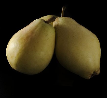 포토 JPG 해외이미지 음식 줄기 컬러 조각 백그라운드 잎 다이어트 과일 자연 디저트 실내 건강 사람없음 초록색 노란색 흰색 신선 달콤 맛 자르기 먹기 가득함 오브젝트 싱글 유기농 날것 슬라이스 향기 내추럴 고립 숙성 채식주의자 맛있는 해외202309 해외포토 식물 웰빙 컨셉 모션 내부 생태계 채식 냄새 파일형식