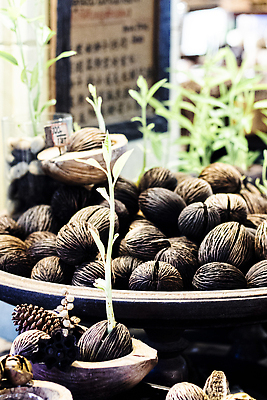 포토 JPG 해외이미지 나무 식물 커피 음식 백그라운드 컨셉 잎 농업 자연 새로움 콩 건조 건강 씨앗 사람없음 목재 초록색 갈색 새싹 환경 정원 검은색 흙 봄 견과류 성장 신선 맛 아침식사 숲 작음 굽기 유기농 원예 호두 먼지 내추럴 땅바닥 모종 묘목 생태학 채식주의자 맛있는 해외202309 해외포토 웰빙 계절 교육 산업 음료 컬러 재료 곡류 바닥 취미 식사 크기 구이 생태계 채식 파일형식