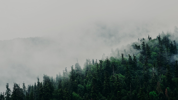 포토 JPG 해외이미지 나무 계절 공원 여행 백그라운드 자연 하늘 아침 날씨 산 안테나 사람없음 야외 초록색 파란색 빛 뷰티 환경 계곡 봄 추위 안개 시골 분위기 정상 숲 언덕 장면 내추럴 항공촬영 넘어짐 드론 뿌연 우크라이나 절정 가문비나무 해외202309 해외포토 주간 식물 공공시설 유럽 뷰포인트 컬러 컨셉 통신 모션 생태계 파일형식
