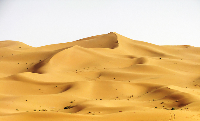 포토 JPG 해외이미지 여행 자연 사람없음 뷰티 여행객 해외202309 해외포토 사람 생태계 파일형식