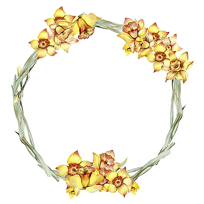 JPG 해외이미지 꽃 일러스트 프레임 사람없음 노란색 화환 원형 해외202309 해외일러스트 도형 식물 컬러 파일형식