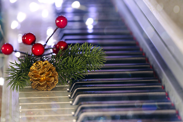 포토 JPG 해외이미지 나무 디자인 열매 음악 컬러 백그라운드 컨셉 크리스마스 겨울 목걸이 노래 열쇠 휴가 새해 기념 선물 미술 이벤트 사람없음 장식 빨간색 초록색 빛 파티 검은색 축제 콘서트 수확 흰색 기구 나뭇가지 축하 키보드 신용카드 황금 클래식 소프트포커스 복고 보케 전나무 원뿔 멜로디 뮤지컬 크리스마스이브 해외202309 해외포토 도형 식물 계절 기념일 농업 장신구 문화예술 촬영기법 금융 공연 파일형식