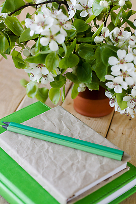 포토 JPG 해외이미지 꽃 종이 꽃다발 백그라운드 과일 아침 주택 사람없음 목재 초록색 연필 갈색 새싹 다이어리 꽃병 공책 봄 낭만 흰색 생일 복고 옛날 해외202309 해외포토 주간 나무 식물 계절 기념일 컬러 컨셉 재료 문구용품 학용품 건물 필기구 사무용품 파일형식