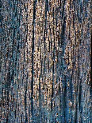 포토 JPG 해외이미지 나무 식물 벽 백그라운드 패턴 자연 표면 추상 건조 사람없음 목재 갈색 환경 어둠 소나무 거친 균열 널 천 묘사 질감 나무껍질 내추럴 그런지 수목 옛날 노화 해외202309 해외포토 컬러 컨셉 무늬 재료 모션 껍질 직물 생태계 파일형식