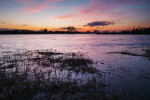 포토 JPG 해외이미지 계절 공원 호수 분홍색 백그라운드 겨울 자연 벽지 하늘 날씨 건조 사람없음 야외 물 파란색 컬러풀 햇빛 뷰티 반사 환경 보라색 냉동 얼음 황혼 일몰 새벽 낭만 추위 연못 저녁 크리스탈 서리 폴란드 내추럴 수평선 해외202309 해외포토 자연요소 공공시설 유럽 컬러 컨셉 태양 노을 야간 광석 생태계 파일형식