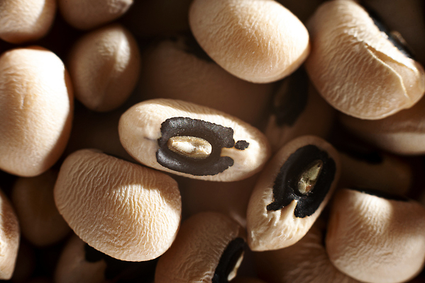 포토 JPG 해외이미지 식물 클리핑패스 음식 백그라운드 농업 채소 재료 콩 건조 실내 건강 씨앗 사람없음 노란색 쌓기 검은색 흰색 소 사발 닫기 정상 낟알 유기농 완두콩 날것 슛 흙더미 건강식 내추럴 고립 단백질 무료 생식 채식주의자 해외202309 해외포토 웰빙 산업 컬러 포유류 모션 곡류 내부 흙 사기그릇 채식 영양소 파일형식 더미