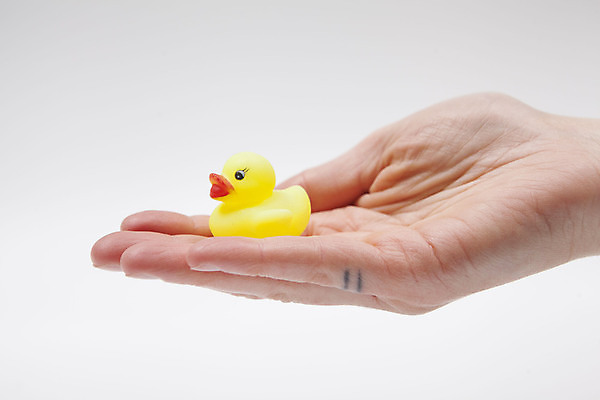 포토 JPG 해외이미지 손 오리 들기 신체부위 미니어처 오리장난감 해외202309 해외포토 모션 조류 사람 장난감 모형 파일형식