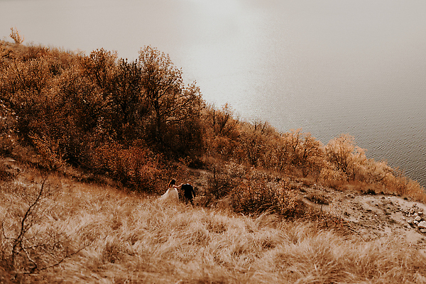 포토 JPG 해외이미지 헤어스타일 커플 드레스 여행 신랑 결혼 2 가족 포옹 자연 하늘 결혼식 산 함께함 발렌타인데이 노르웨이 사랑 사람 정장 야외 두명 컬러풀 햇빛 태양 뷰티 노란색 산책 낭만 흰색 축하 우아함 묘사 정중 해외202309 해외포토 자연요소 옷 감정 유럽 컬러 컨셉 관계 안기 데이이벤트 휴식 이벤트 생태계 파일형식